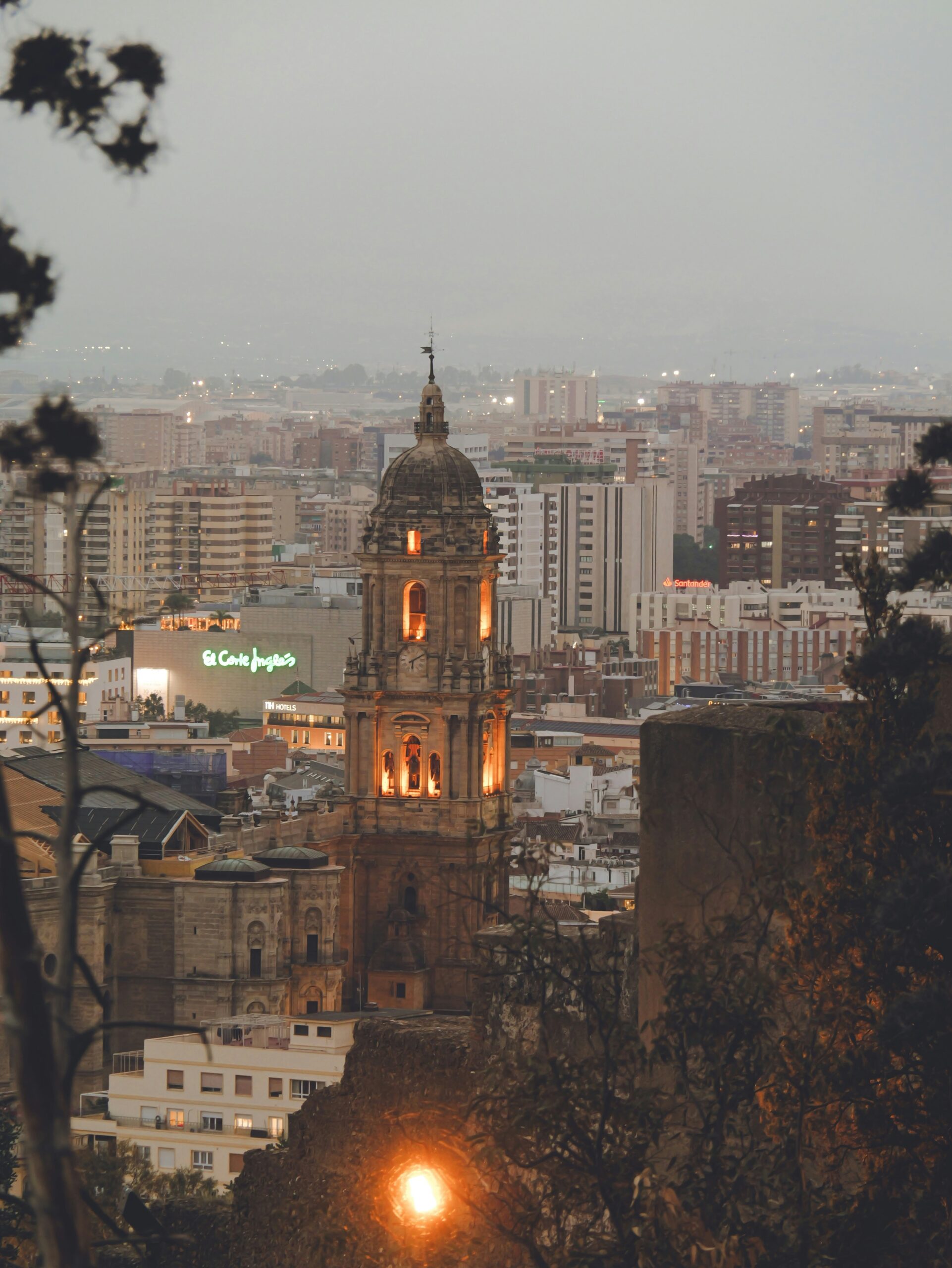 andrei z e8selzeaxbq unsplash