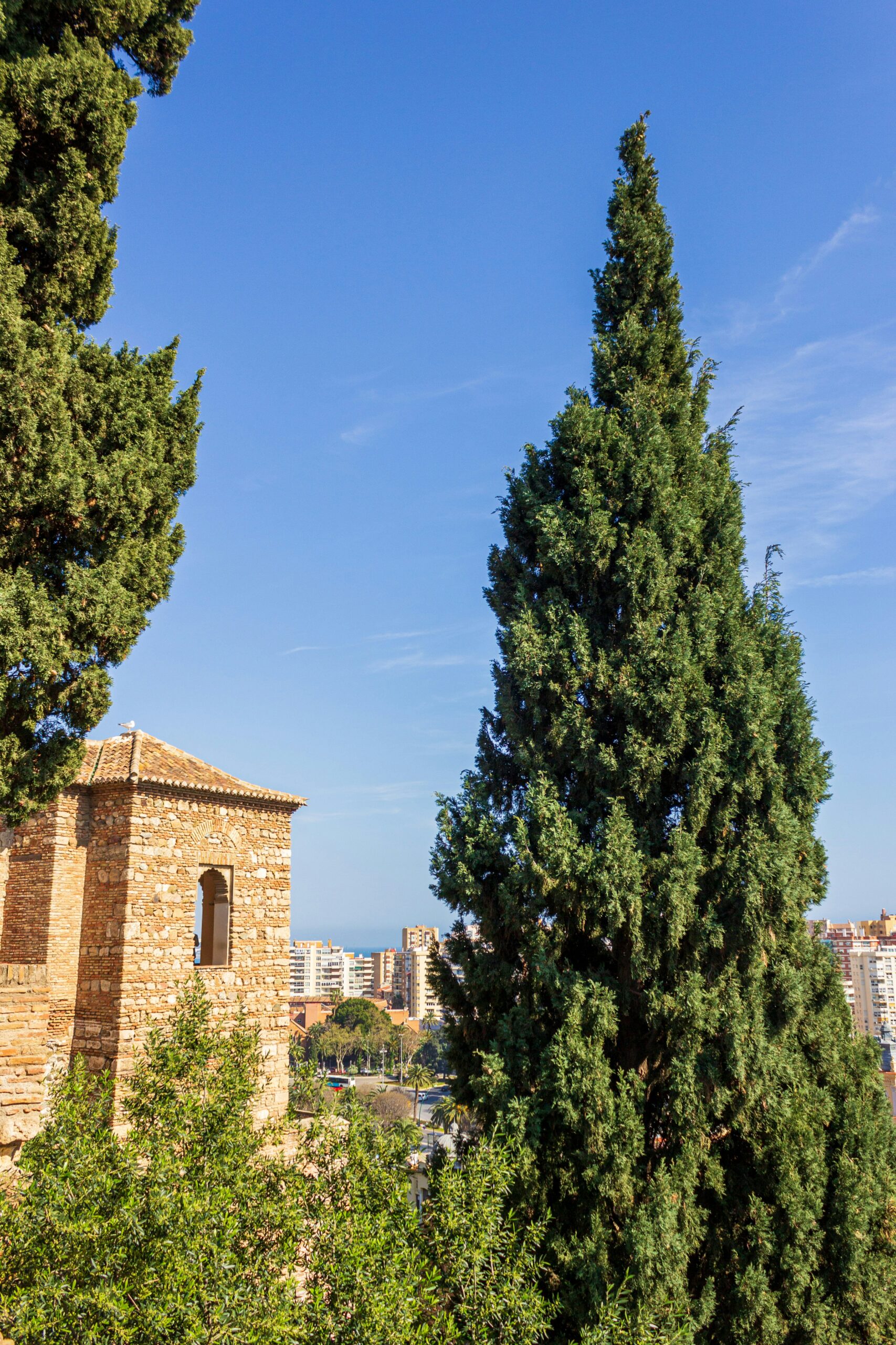 fernando tavora jop3qsuctre unsplash