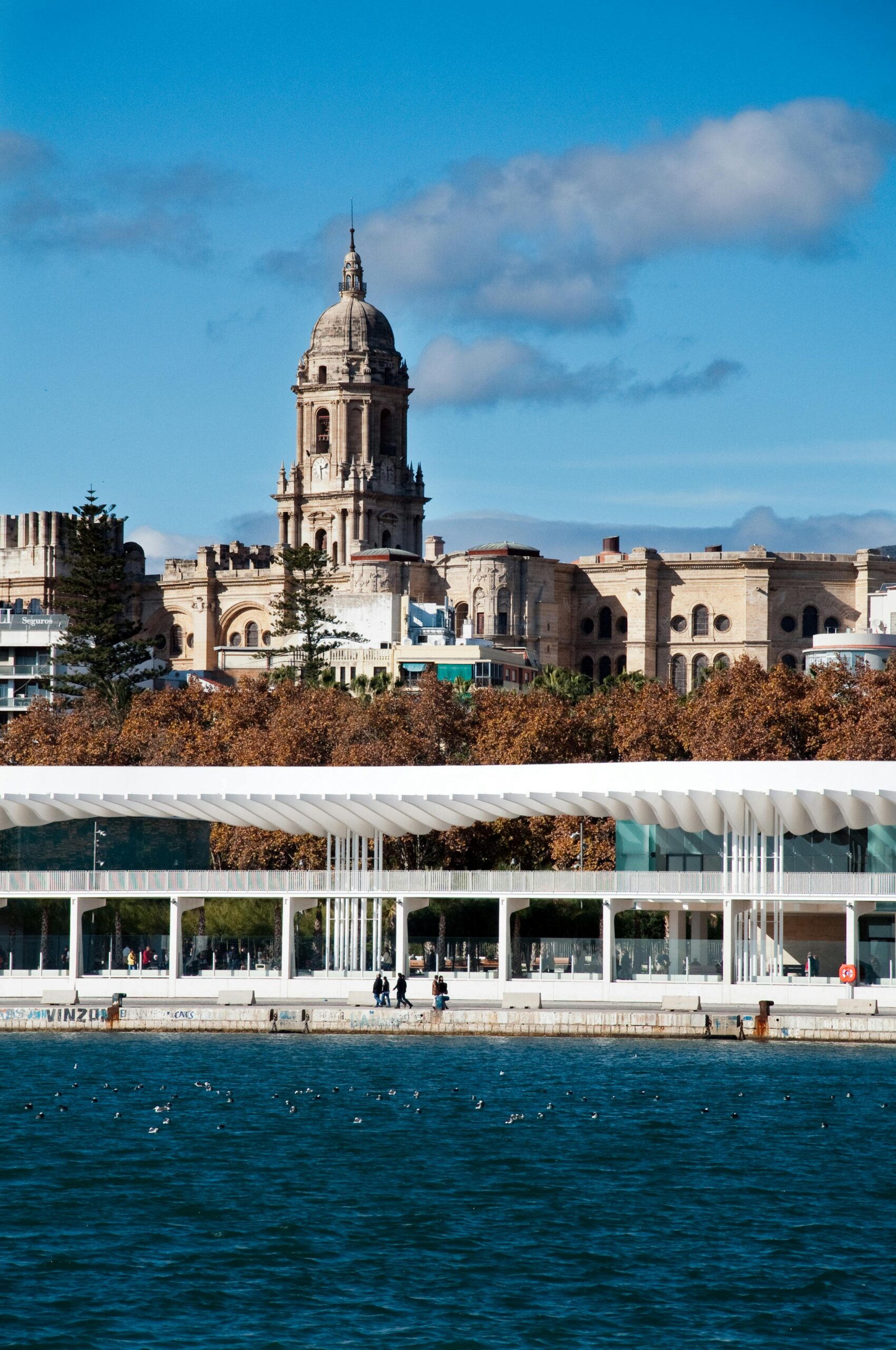 pexels juan antonio garcia filoso rodriguez 501825273 17108471