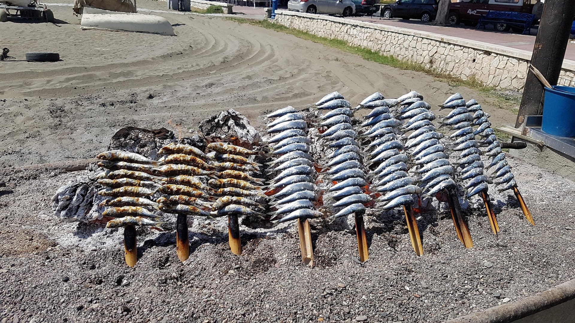 sardines 2221770 1920